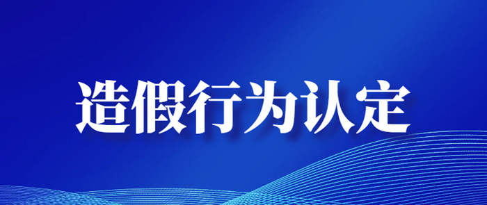 资质申报造假行为认定